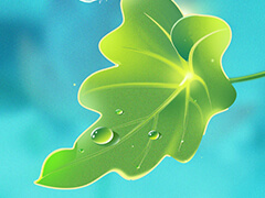 李強(qiáng)主持召開(kāi)國(guó)務(wù)院常務(wù)會(huì)議