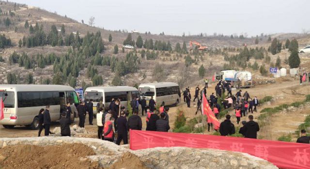 撒下一點綠色，播種一片綠意